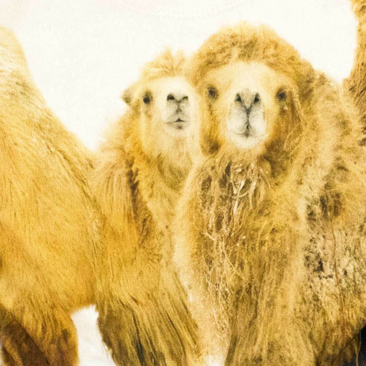 Combi-short Camel-Fille-POPUPSHOP-Maralex Paris (1975449223231)
